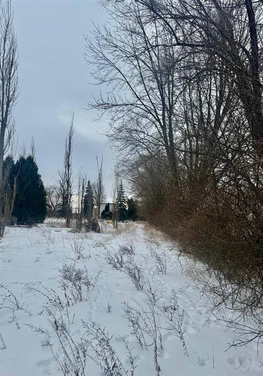 Buena Vista Twp, MI 48601,3810 Janes Road