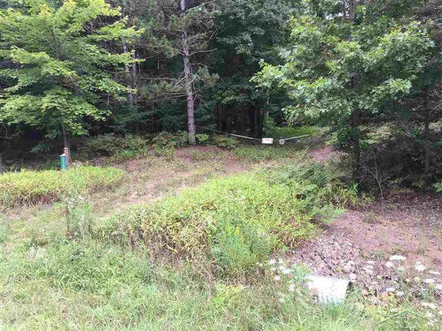 Brant Twp, MI 48614,MARION RD VACANT LAND