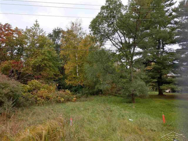 Swan Creek Twp, MI 48655,7476 S Graham