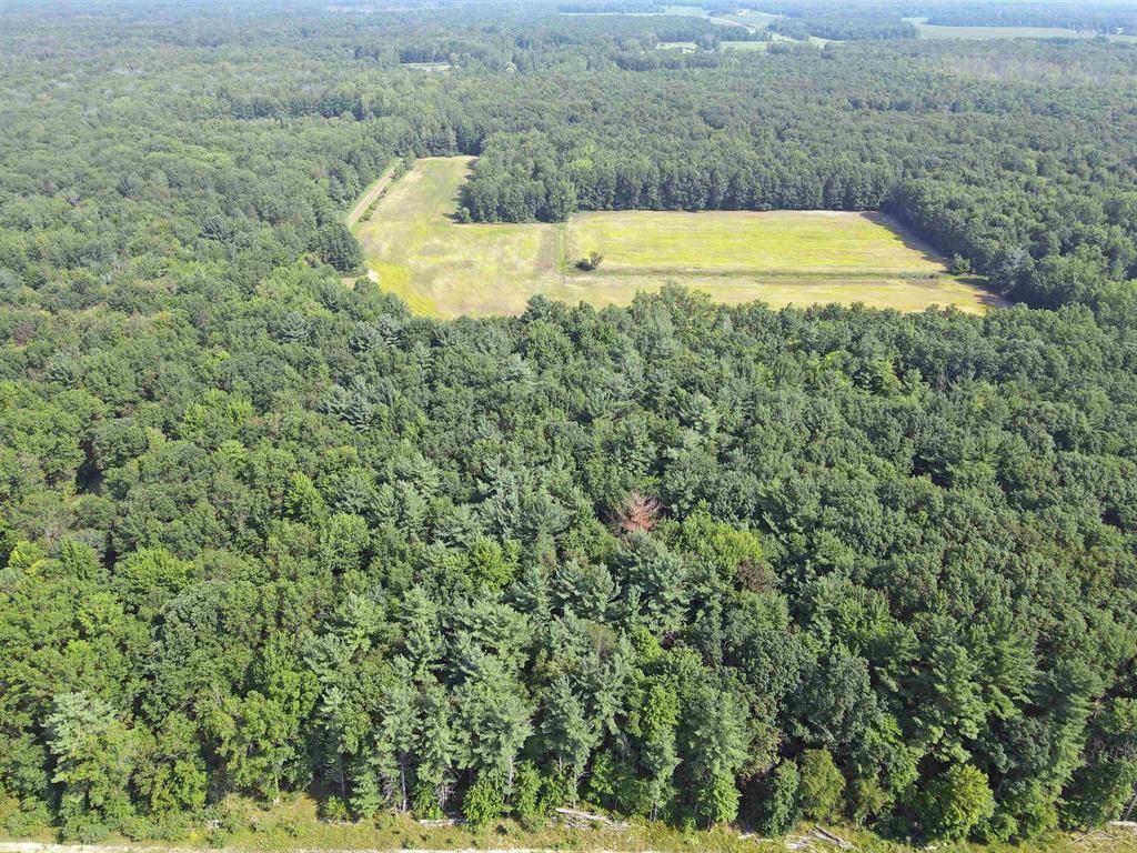 Marion Twp, MI 48614,22000 W Burt Road