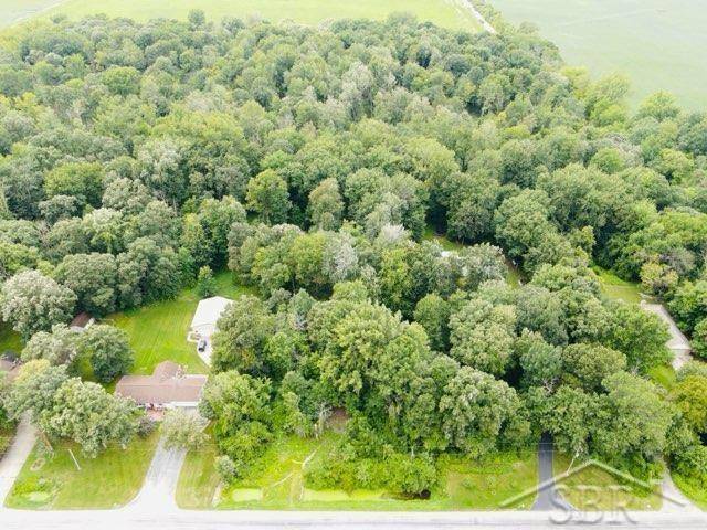 Hampton Twp, MI 48732,VL N Cotter Road