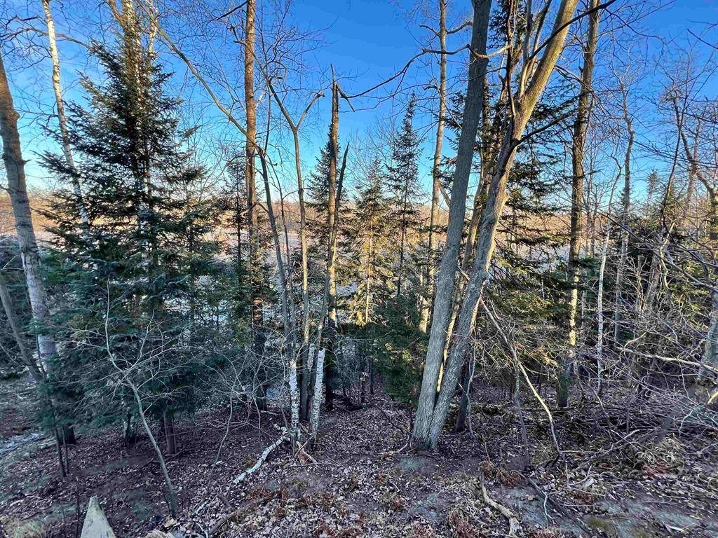 Moffatt Twp, MI 48610,S Forest Lake Drive