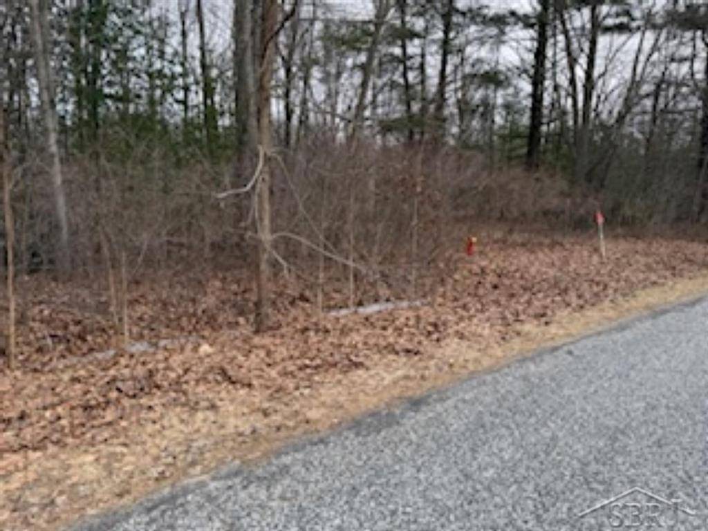Edenville Twp, MI 48657,VL N Anna Lane