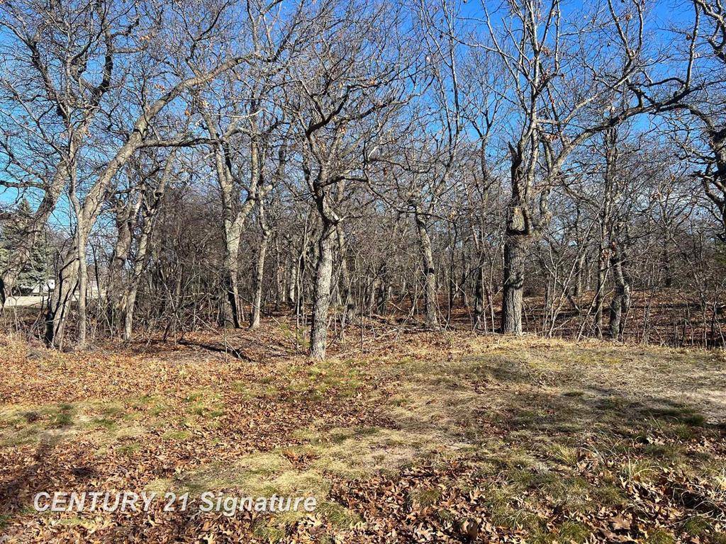 Caseville Twp, MI 48755,V/L Crescent Beach Road