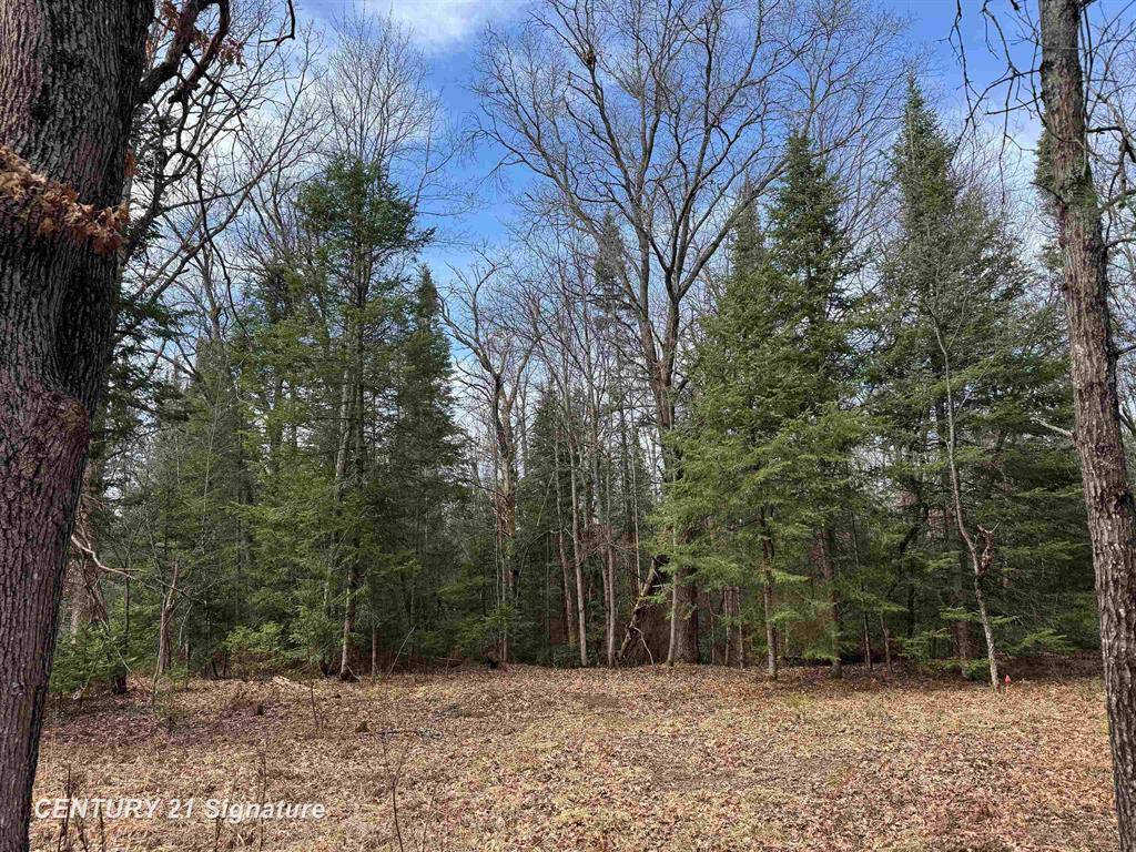 South Branch Twp, MI 48653,V/L Steckert Bridge Road