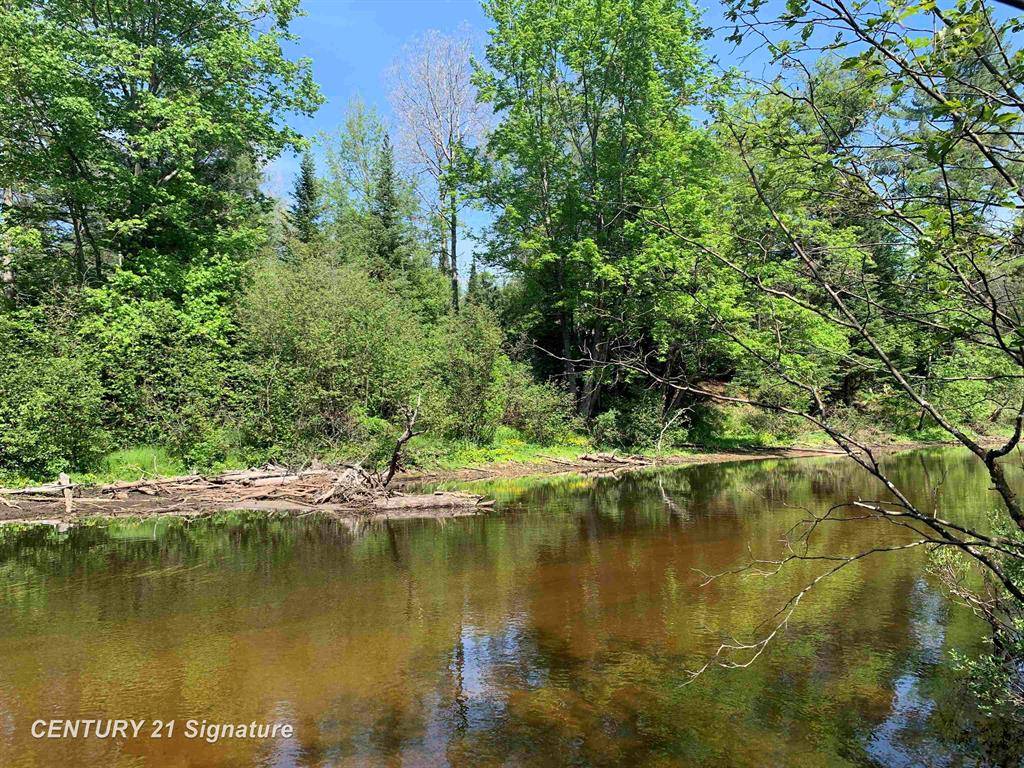 South Branch Twp, MI 48653,V/L Steckert Bridge Road