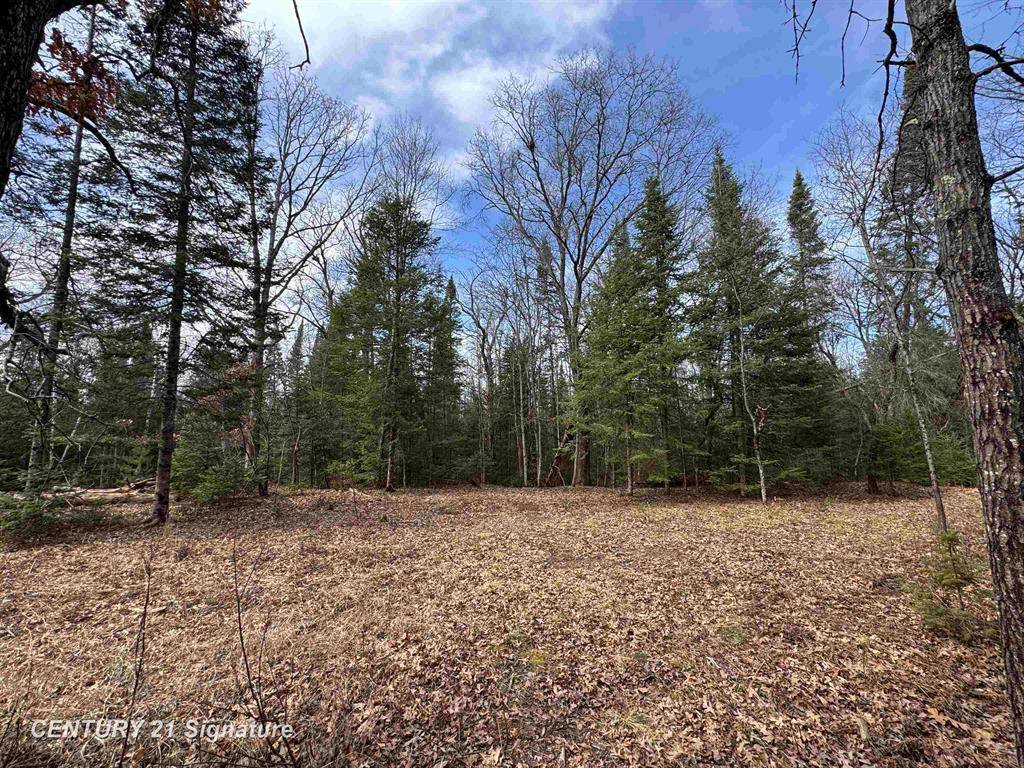 South Branch Twp, MI 48653,V/L Steckert Bridge Road