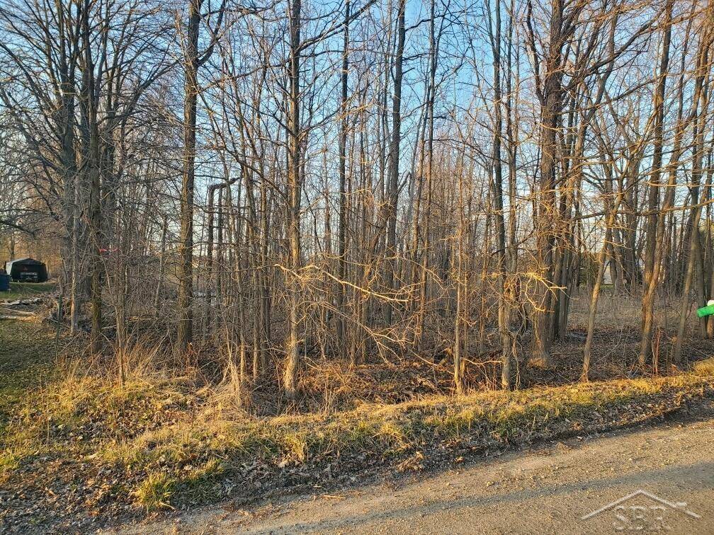 Riley Twp, MI 48041,0 Hough Road