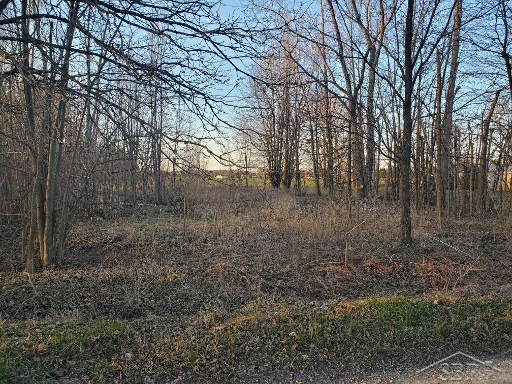 Riley Twp, MI 48041,0 Hough Road