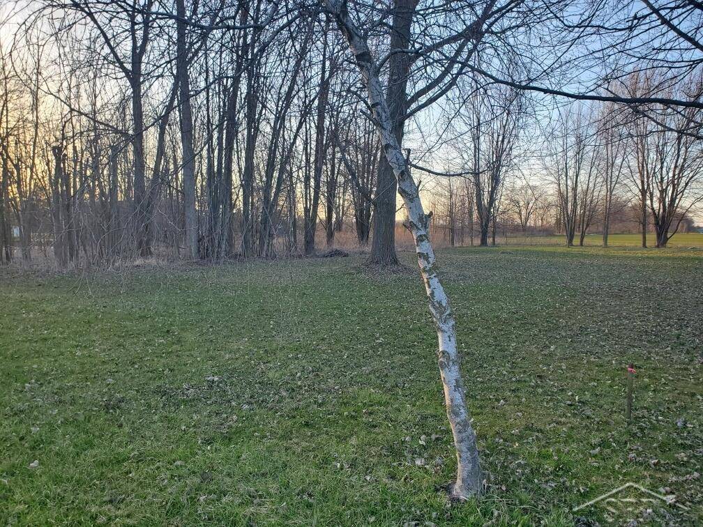 Riley Twp, MI 48041,0 Hough Road