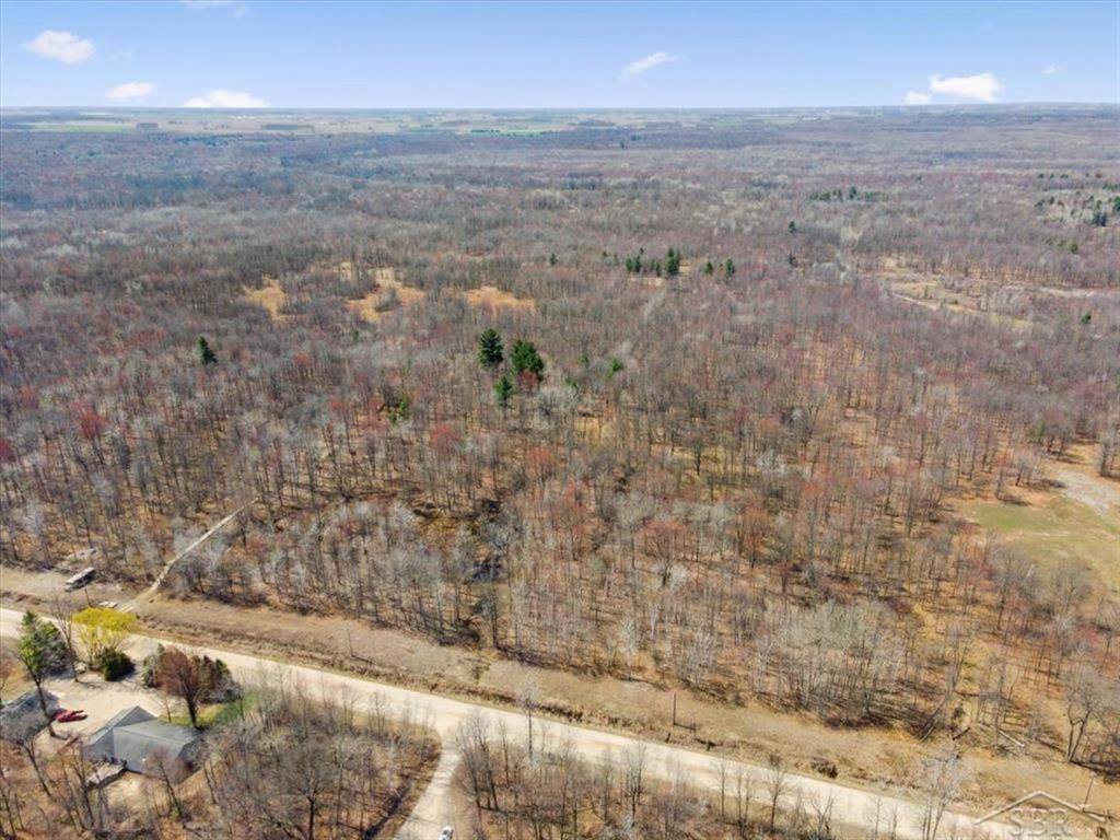 Jasper Twp, MI 48880,VL S Magruder Road