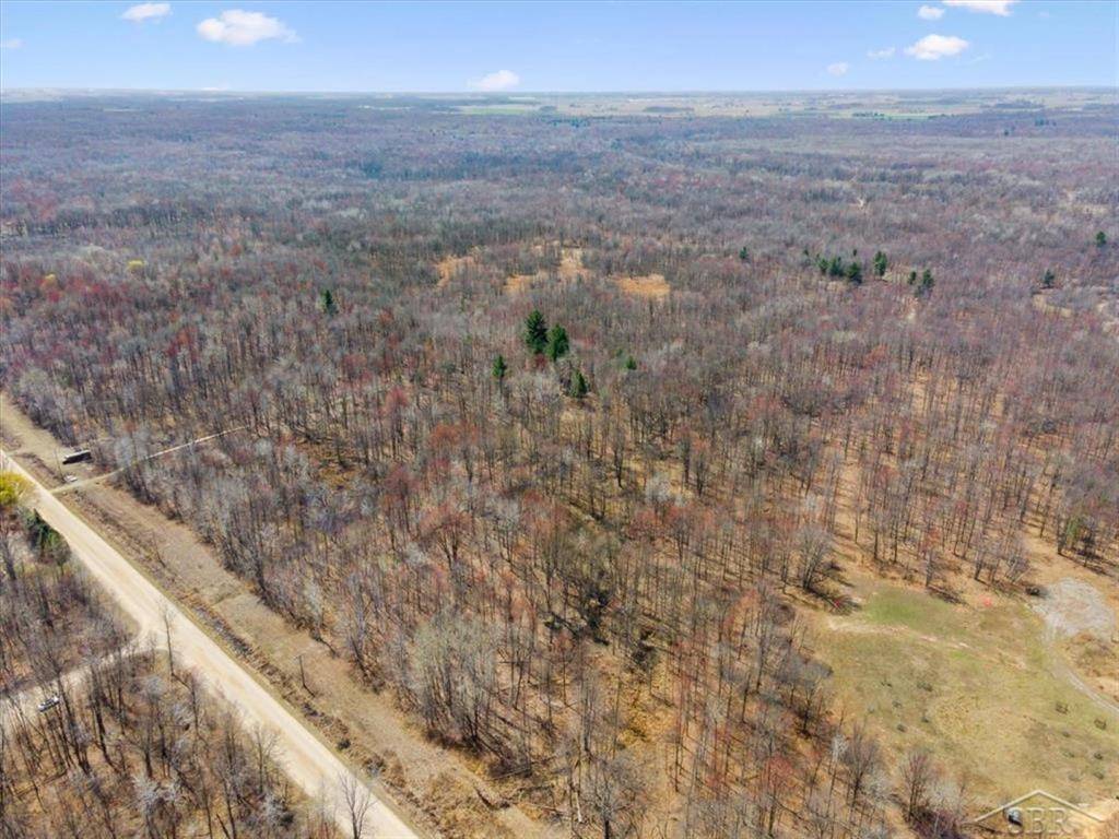 Jasper Twp, MI 48880,VL S Magruder Road