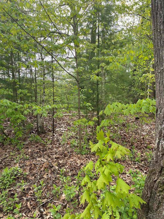 Billings Twp, MI 48612,VL Oakridge Drive
