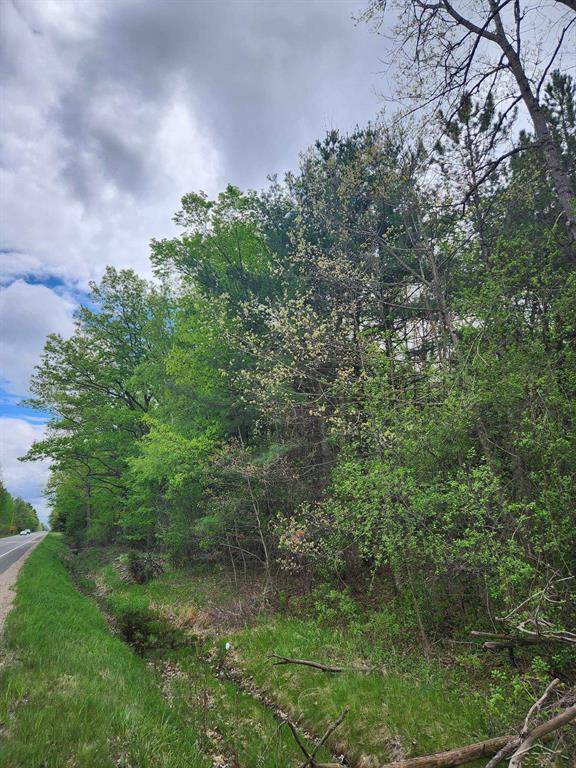 Lee Twp, MI 48640,vl S Meridian Road