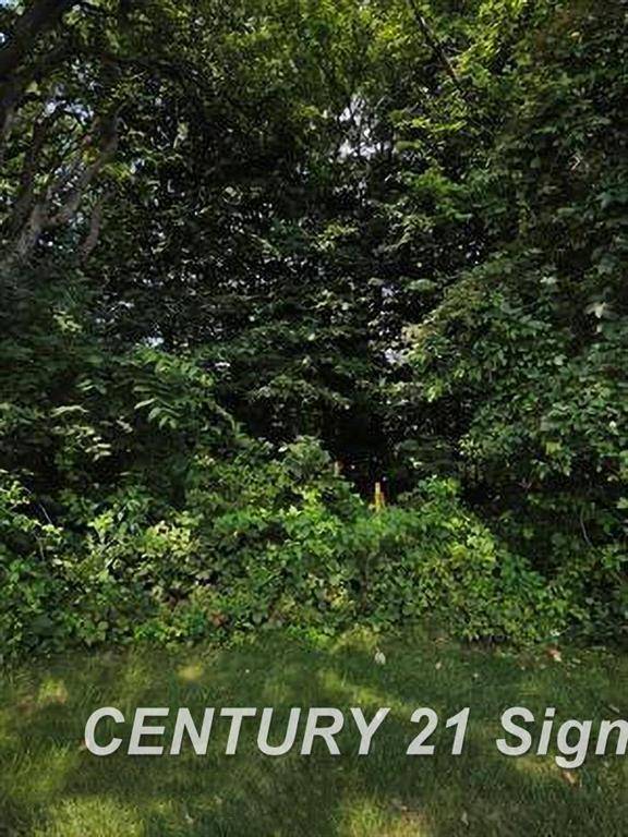 Saginaw Twp, MI 48603,0 Sawmill Boulevard #4