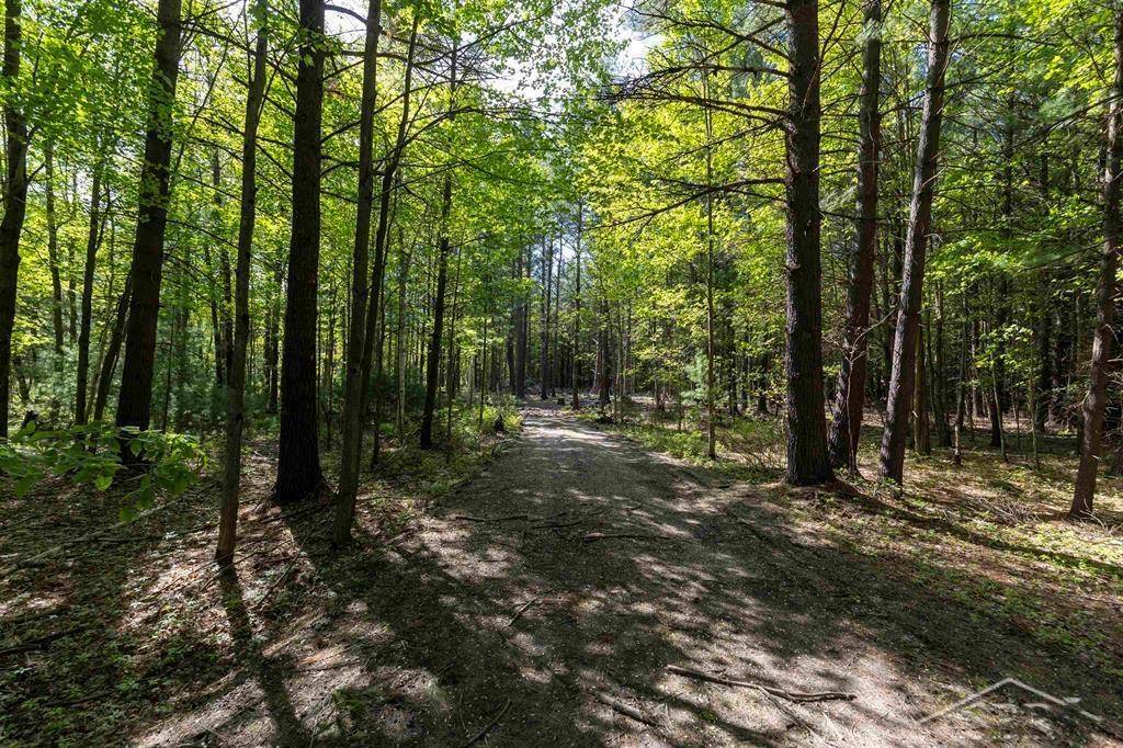 Jerome Twp, MI 48657,VL N Meridian Road