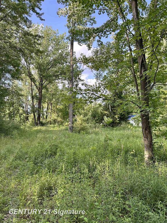 Billings Twp, MI 48612,4020 Wieman Road