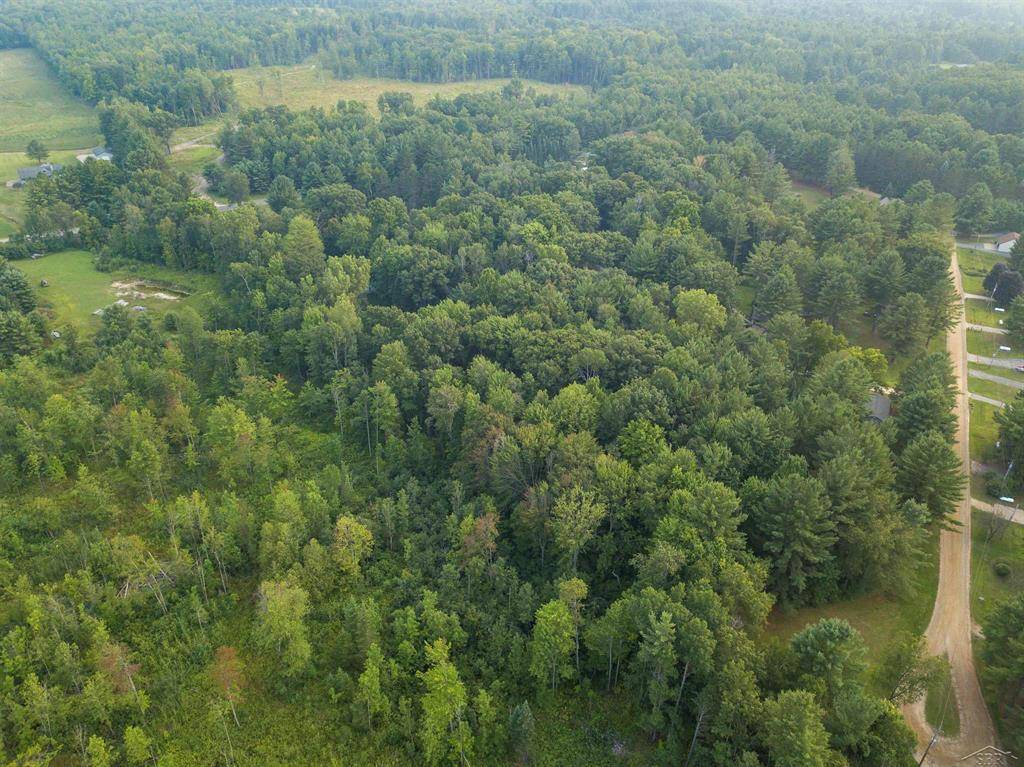 Hill Twp, MI 48635,VL Victoria Court