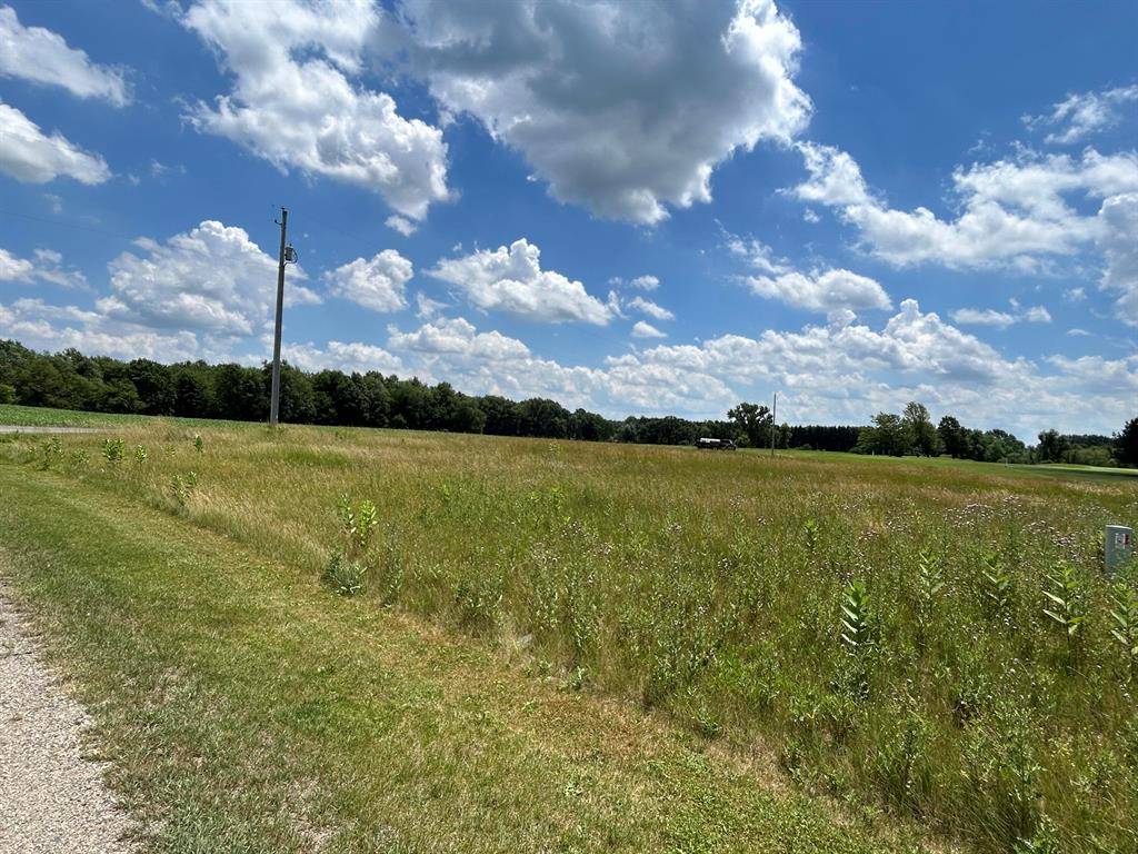 Ovid Twp, MI 49036,649 Blackberry Drive Lot #1