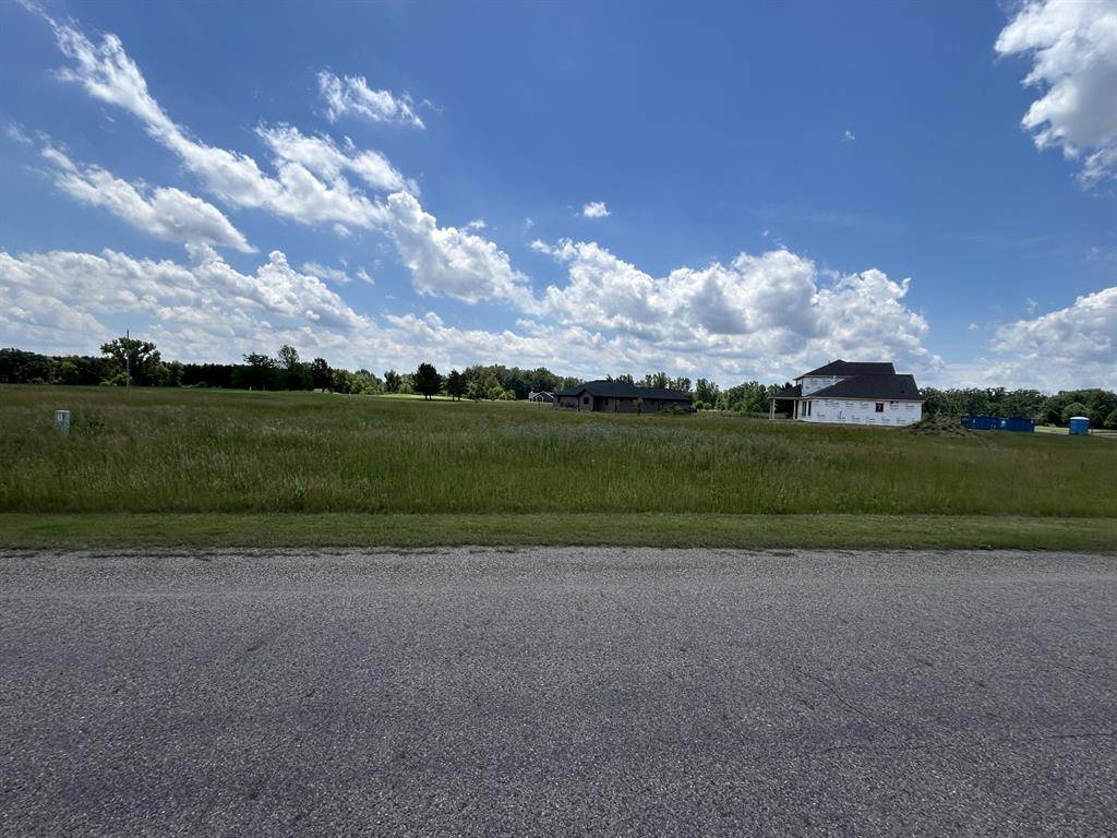 Ovid Twp, MI 49036,649 Blackberry Drive Lot #2