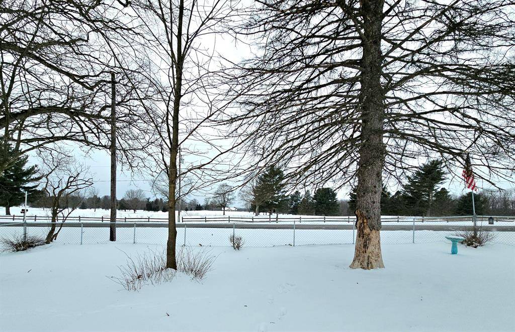 Bedford Twp, MI 49017,23154 Waubascon Road
