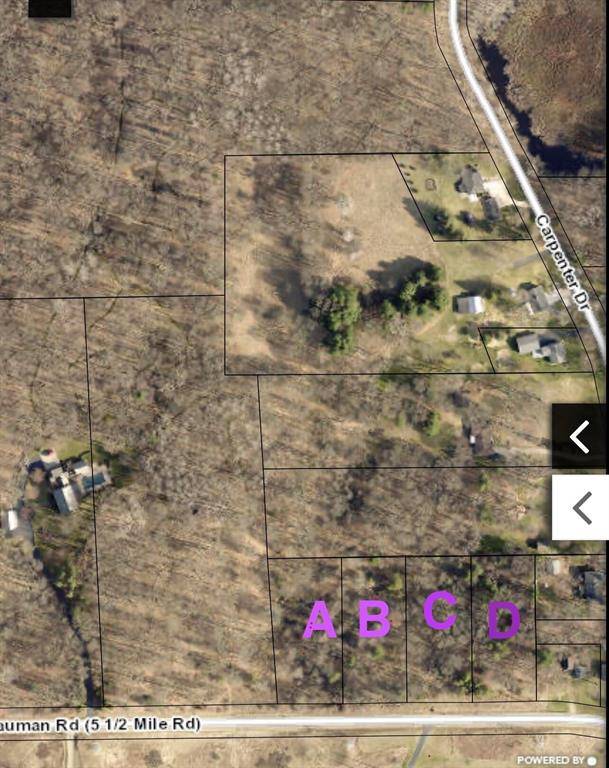 Bedford Twp, MI 49017,Bauman Rd