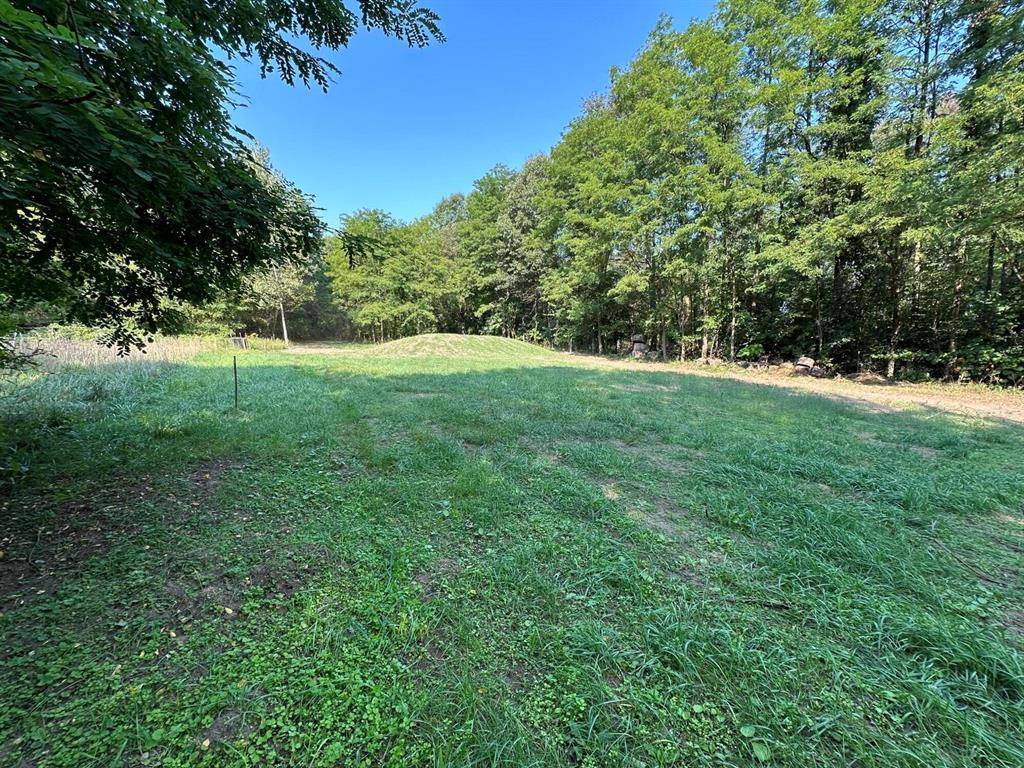Bedford Twp, MI 49017,000 N 5 Mile Road