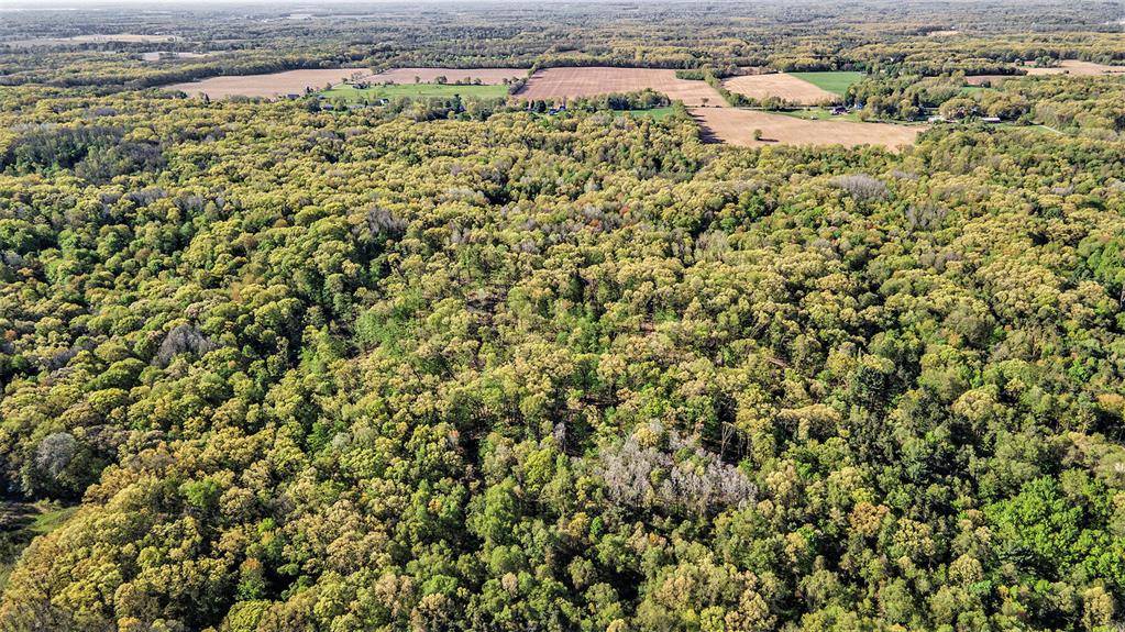 Pennfield Twp, MI 49014,Bellevue Road