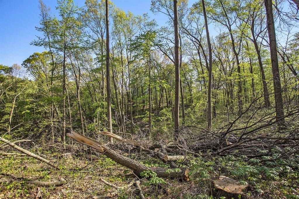 Pennfield Twp, MI 49014,Bellevue Road
