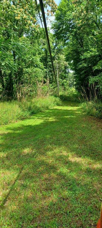 Bedford Twp, MI 49017,Collier Avenue