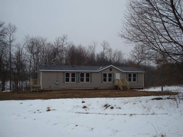 Sand Lake, MI 49343,16490 Meddler Avenue