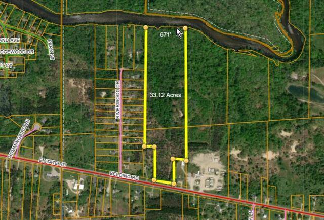 Otisco Twp, MI 48809,0 Belding Road