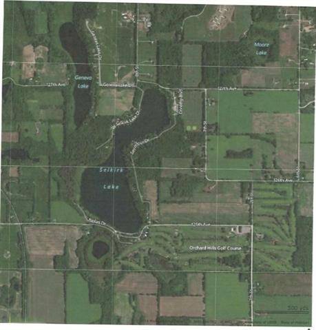 Wayland Twp, MI 49344,VL W Selkirk Lake Drive Lot 004-10