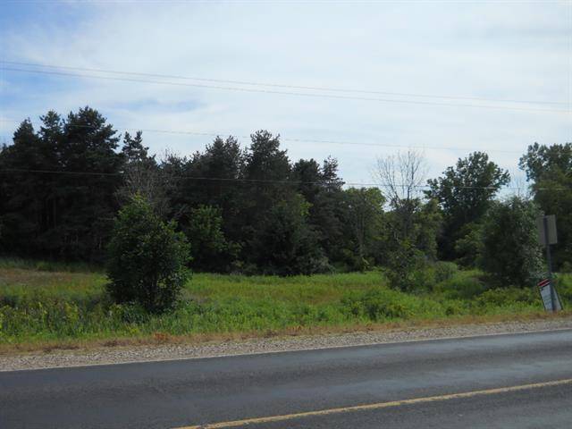 Evergreen Twp, MI 48888,V/L E Stanton Road