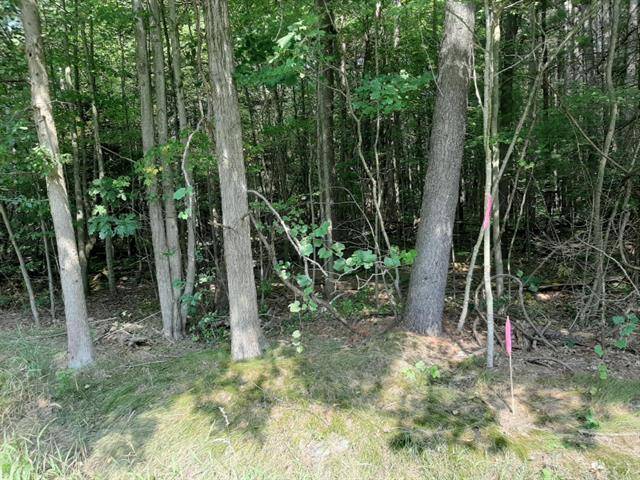 Moorland Twp, MI 49451,V/L Parcel B Bossett  Rd