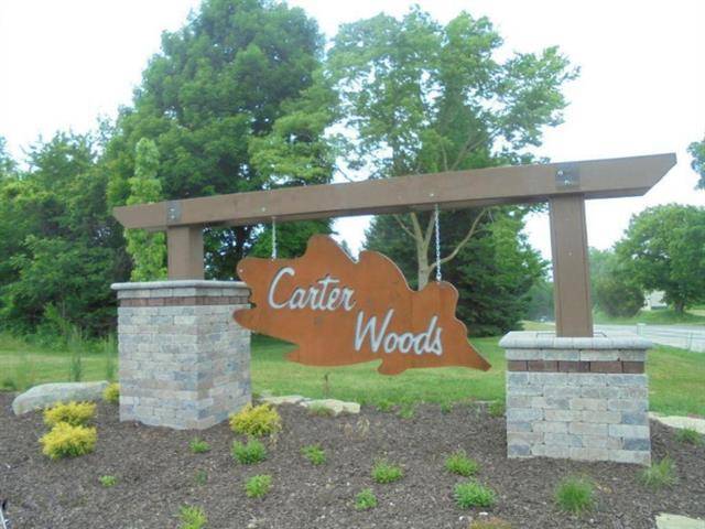 Ionia Twp, MI 48846,0 Carter Woods, Bianca Way lot 9