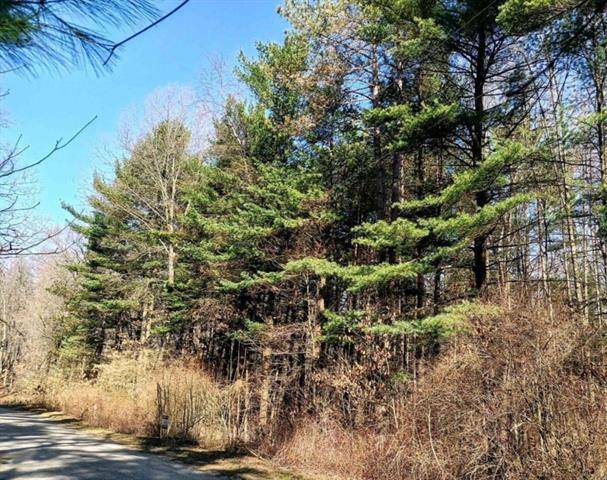 Boston Twp, MI 49331,4619 White PIne parcel 7