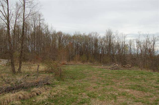 Middleville Vlg, MI 49333,5731 Crooked Hoof Trail lot 20