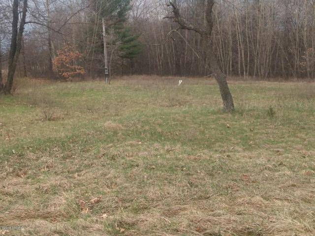 Reynolds Twp, MI 49329,Lot A N Maple Hill Drive