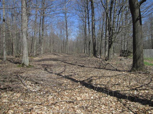 Douglass Twp, MI 48888,Lot 184 S East Shore Drive