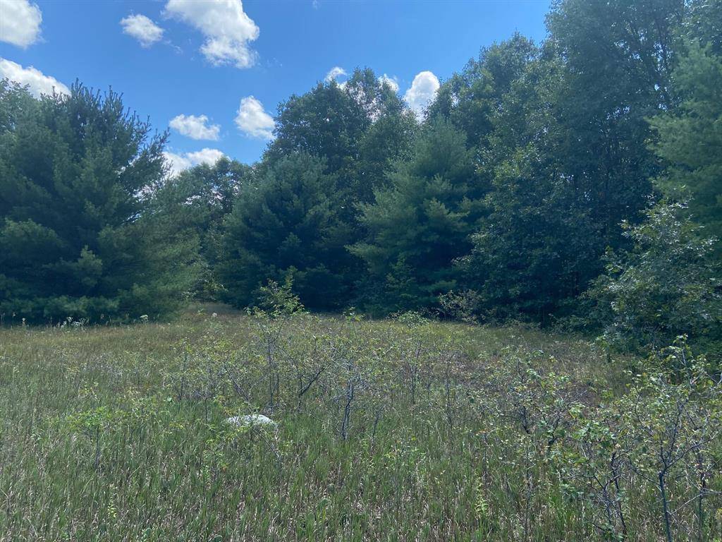 Egelston Twp, MI 49442,V/L E Apple Avenue