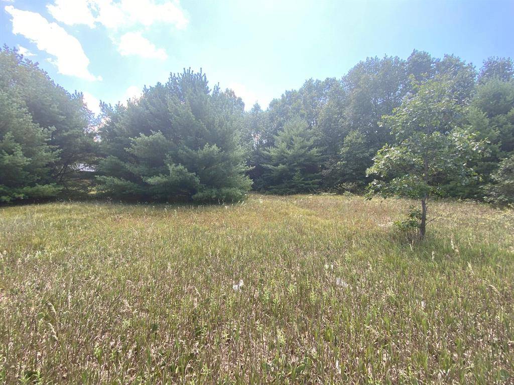 Egelston Twp, MI 49442,V/L E Apple Avenue