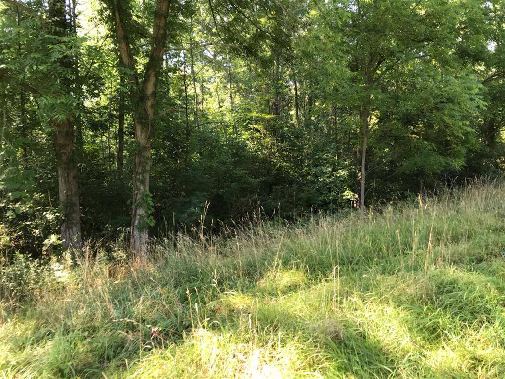 Paw Paw Twp, MI 49079,37111 Paw Paw Road