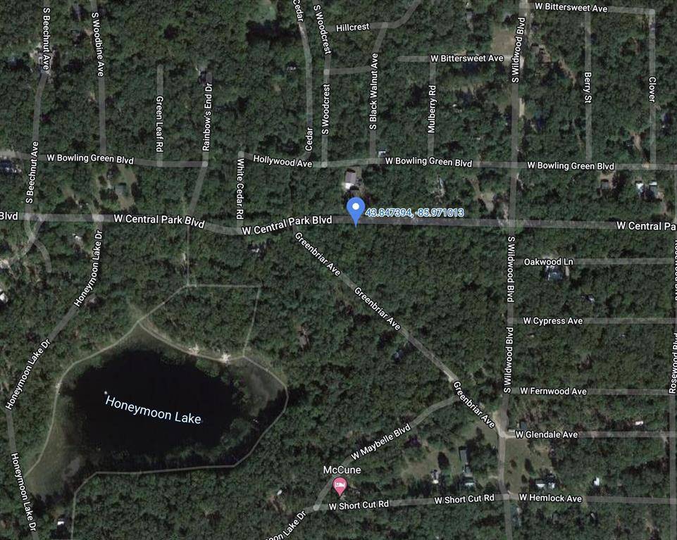 Baldwin, MI 49304,Lots 7/8 W Central Park Boulevard