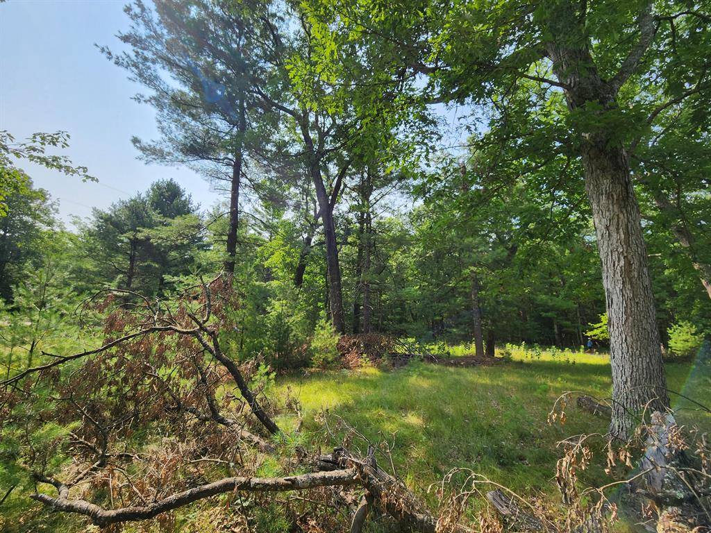 Baldwin, MI 49304,Lots 24/25 W Central Park Boulevard