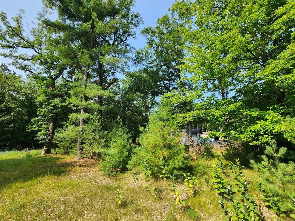 Baldwin, MI 49304,Lots 24/25 W Central Park Boulevard