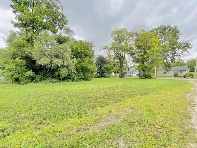 Lake Odessa Vlg, MI 48849,Lot 1 Ionia Street