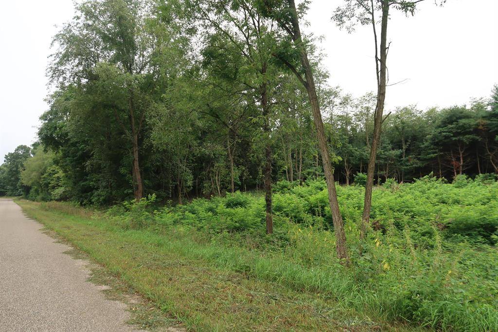 Fabius Twp, MI 49093,Lot 2 Highfield Road