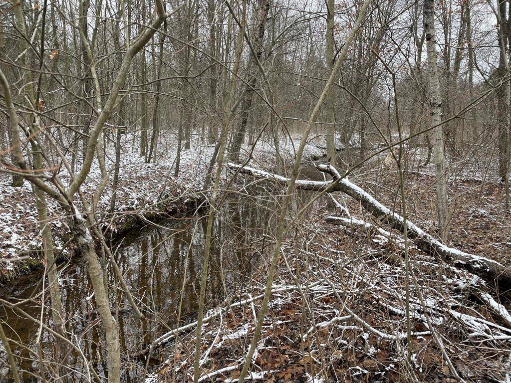 Dalton Twp, MI 49457,0 Holton Road
