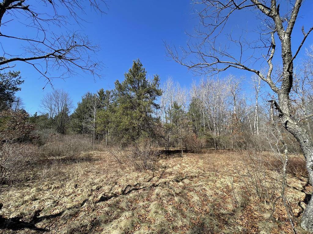 Dalton Twp, MI 49457,0 Holton Road